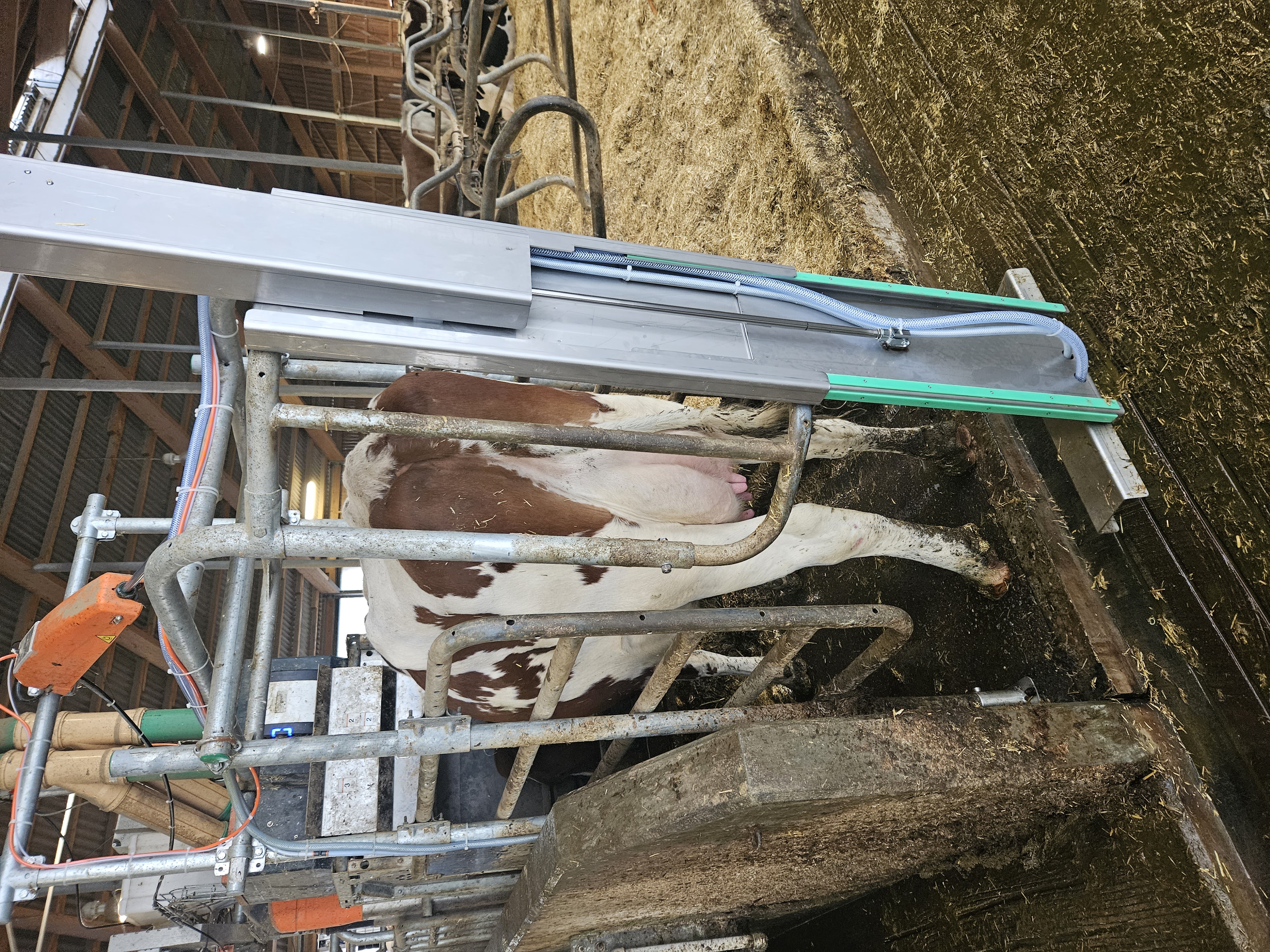 Klauenwaschanlage von Cowtec